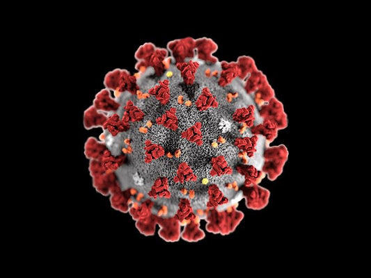 Respuesta de NAYLA ante el COVID-19 (Coronavirus)