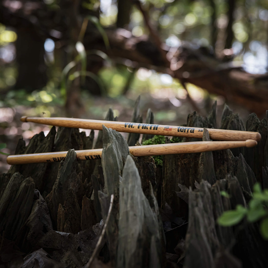 Baquetas Vic Firth American Classic Terra 5B