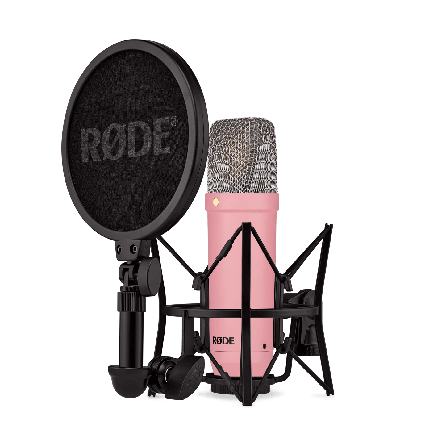Micrófono de condensador de estudio RODE NT1 Signature Series - versátil, confiable, carácter sedoso, nivel de ruido ultrabajo, tolerante a elevados SPL